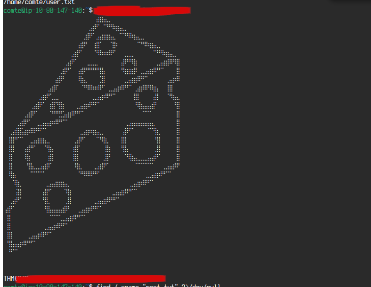 Evidência intermediária do laboratório Mr. Robot
